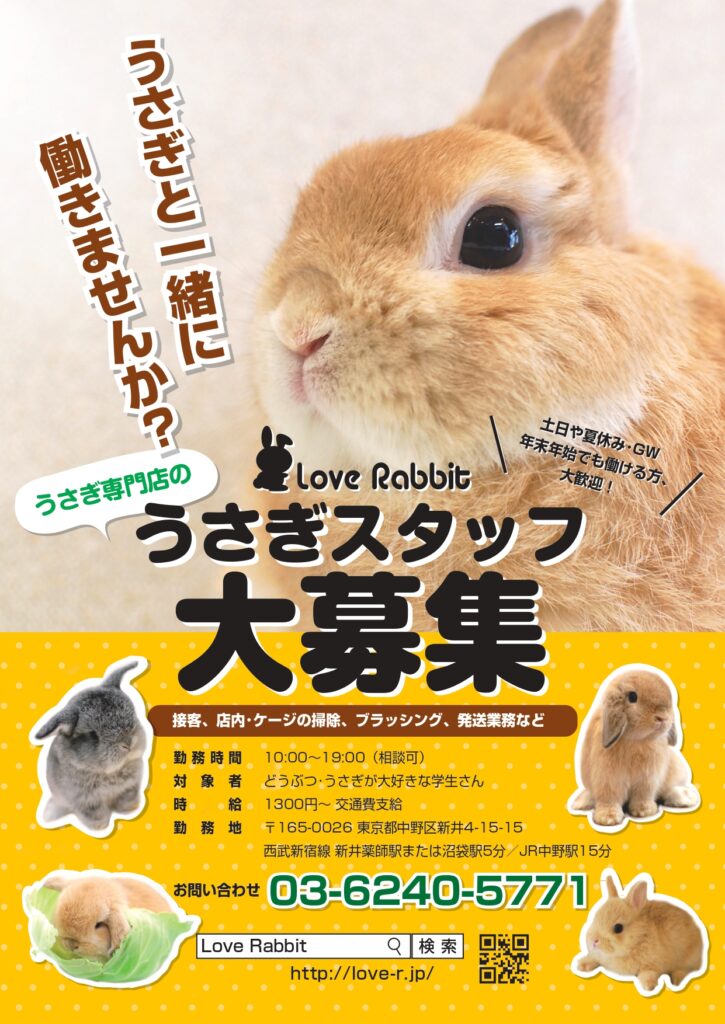 うさぎ様専用 うさぎ様専用 波乗りうさぎさま専用 123cm KanazawaPoles